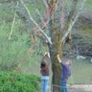 Meet your Posher, Kathryn